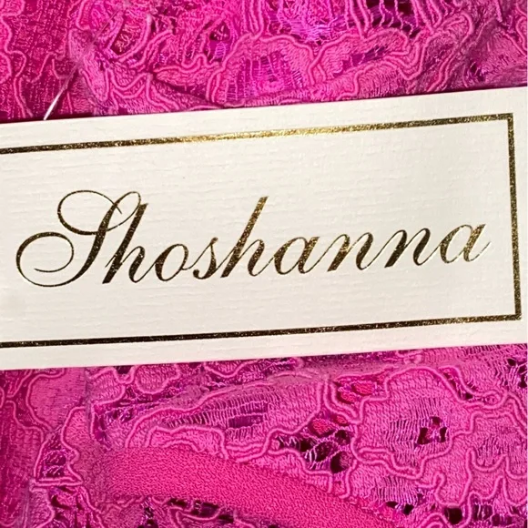 NWT Shoshanna Paris Lace Fit and Flare Dress in Hot Pink Sz 2